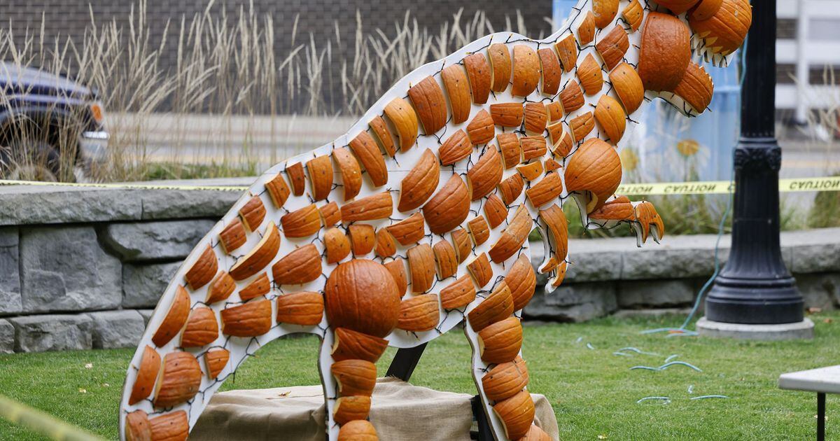 Hamilton festival Operation Pumpkin open through weekend How to go