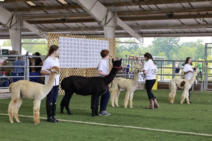 071923 Warren County Fair