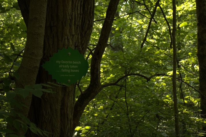 Hueston Woods Haiku Trail 03