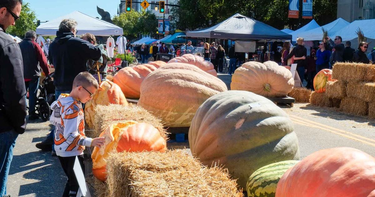 PHOTOS Operation Pumpkin event in Hamilton in 2019