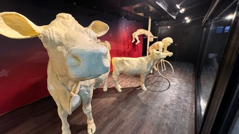 The traditional butter cow and calf are sporting butter medallions in this year’s butter display at the Ohio State Fair (CONTRIBUTED PHOTO).