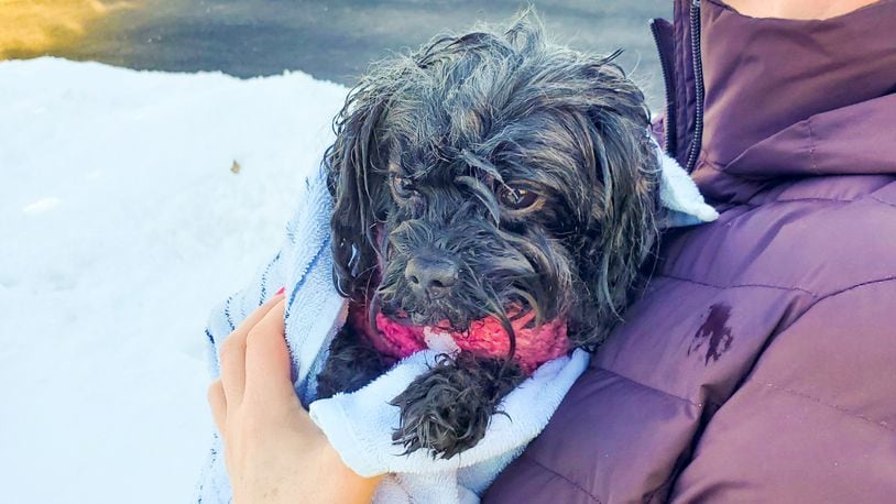 Butler County Sheriff's deputy Evan Depew, who is trained in emergency response services, pulled a Liberty Twp. woman and dog to safety after the dog fell into a frozen pond and the woman went in after it. CONTRIBUTED