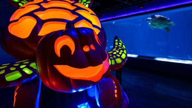 Underwater Pumpkin GLOW at Newport Aquarium starts September 16 and runs through November 3. It’s free with admission or membership reservation.