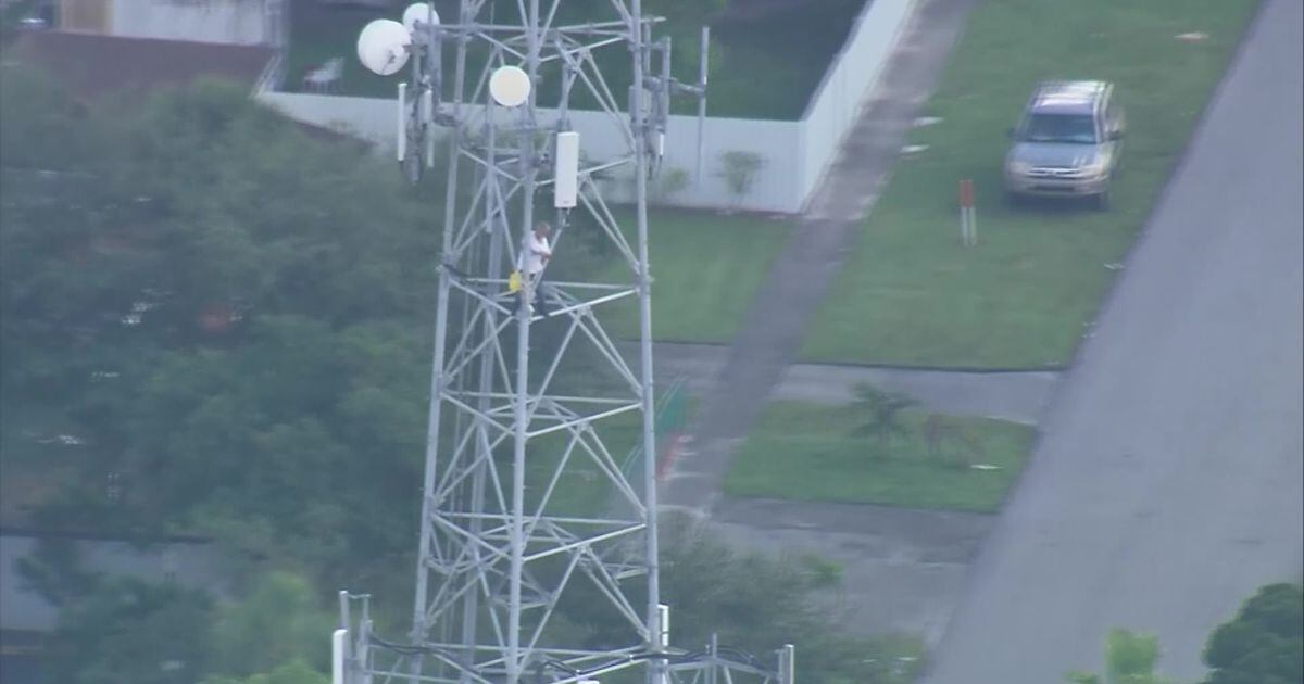 Florida man climbs cell phone tower and no one knows why