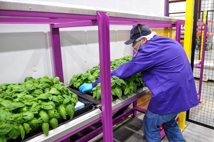 80 Acres Farm indoor grow facility in Hamilton