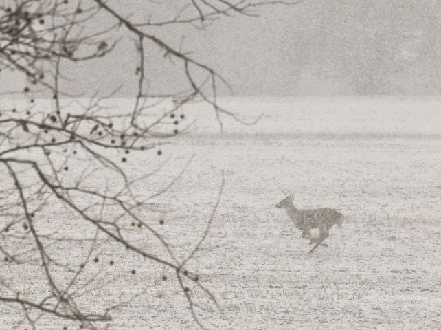 111222 butler county snow