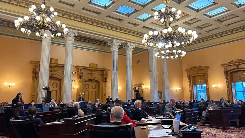 Ohio Senators listen in as Senate Minority Leader Nickie Antonio, D-Lakewood, speaks in opposition to a bill that bans gender affirming medical care for Ohio minors. Avery Kreemer/ Staff