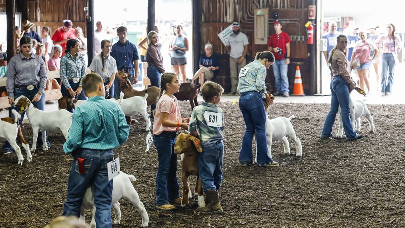 Scenes from the Butler County Fair Thursday, July 27, 2023 in Hamilton. NICK GRAHAM/STAFF