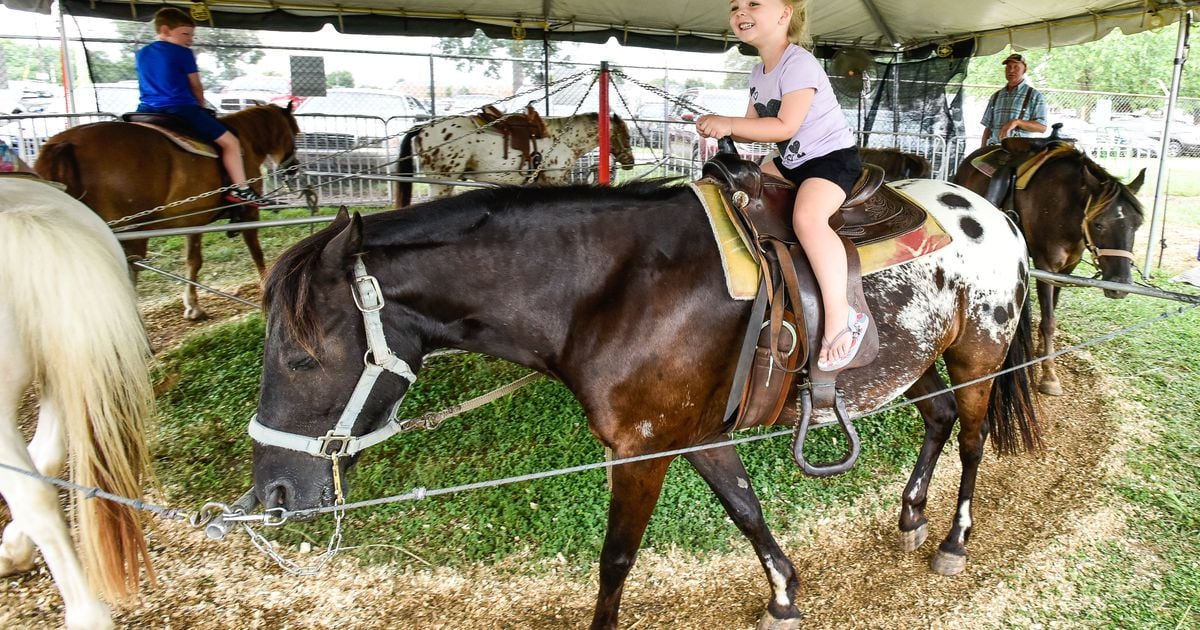 2018 Butler County Fair results Open Class