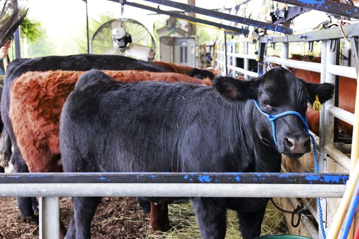 071923 Warren County Fair