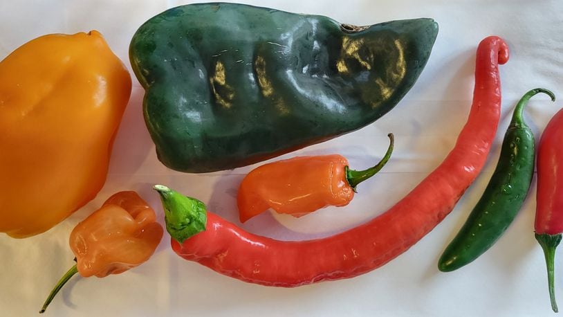 These peppers are from Stoney Hedgerow Farm and are available at MOON Co-Op in Oxford. CONTRIBUTED