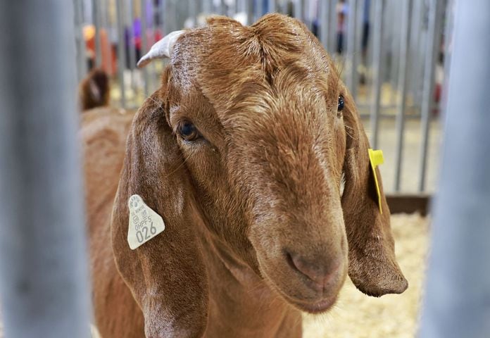 071923 Warren County Fair