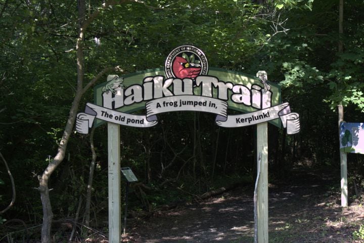 Hueston Woods Haiku Trail 01