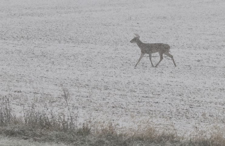 111222 butler county snow