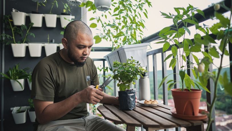 A man is seen tending to plants on his apartment balcony. iSTOCK/COX