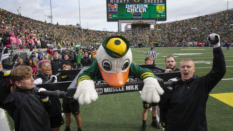 The Oregon Duck mascot collapses after doing 38 pushups to match the score in the third quarter against UCLA in an NCAA college football game Saturday, Oct. 22, 2022, in Eugene, Ore. (AP Photo/Chris Pietsch)