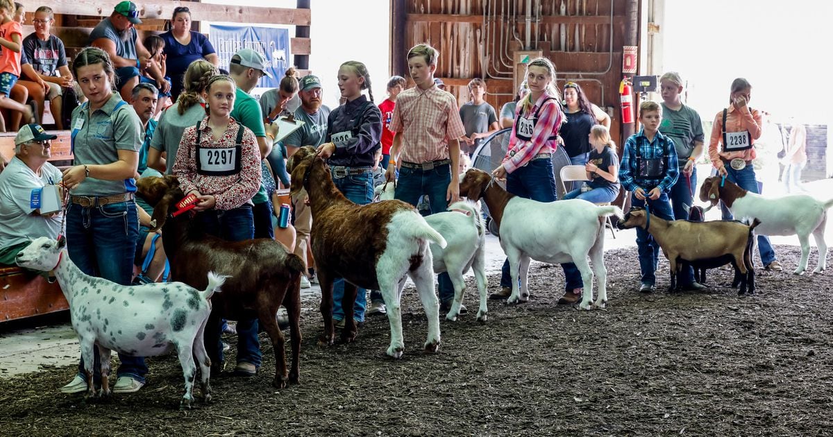 Butler County Fair Importance of ‘fair families’ on display for