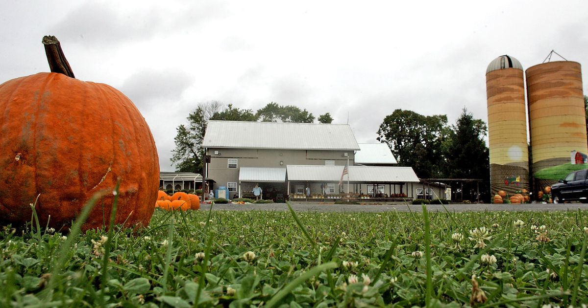 Today is ‘Barn n Bunk Day’ in Trenton