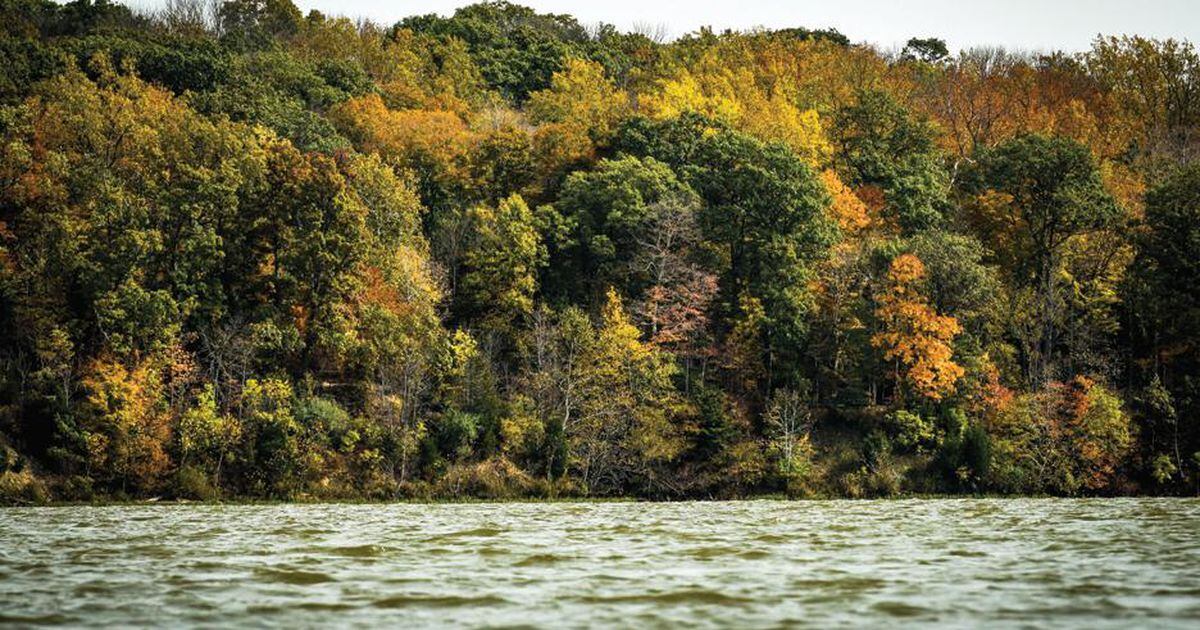 Ohio governor temporarily renames 3 parks to honor Bengals