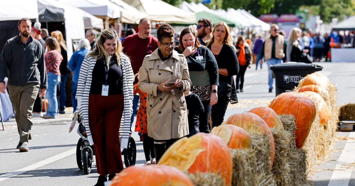 Operation Pumpkin and Art Festival seeks volunteers as large Hamilton