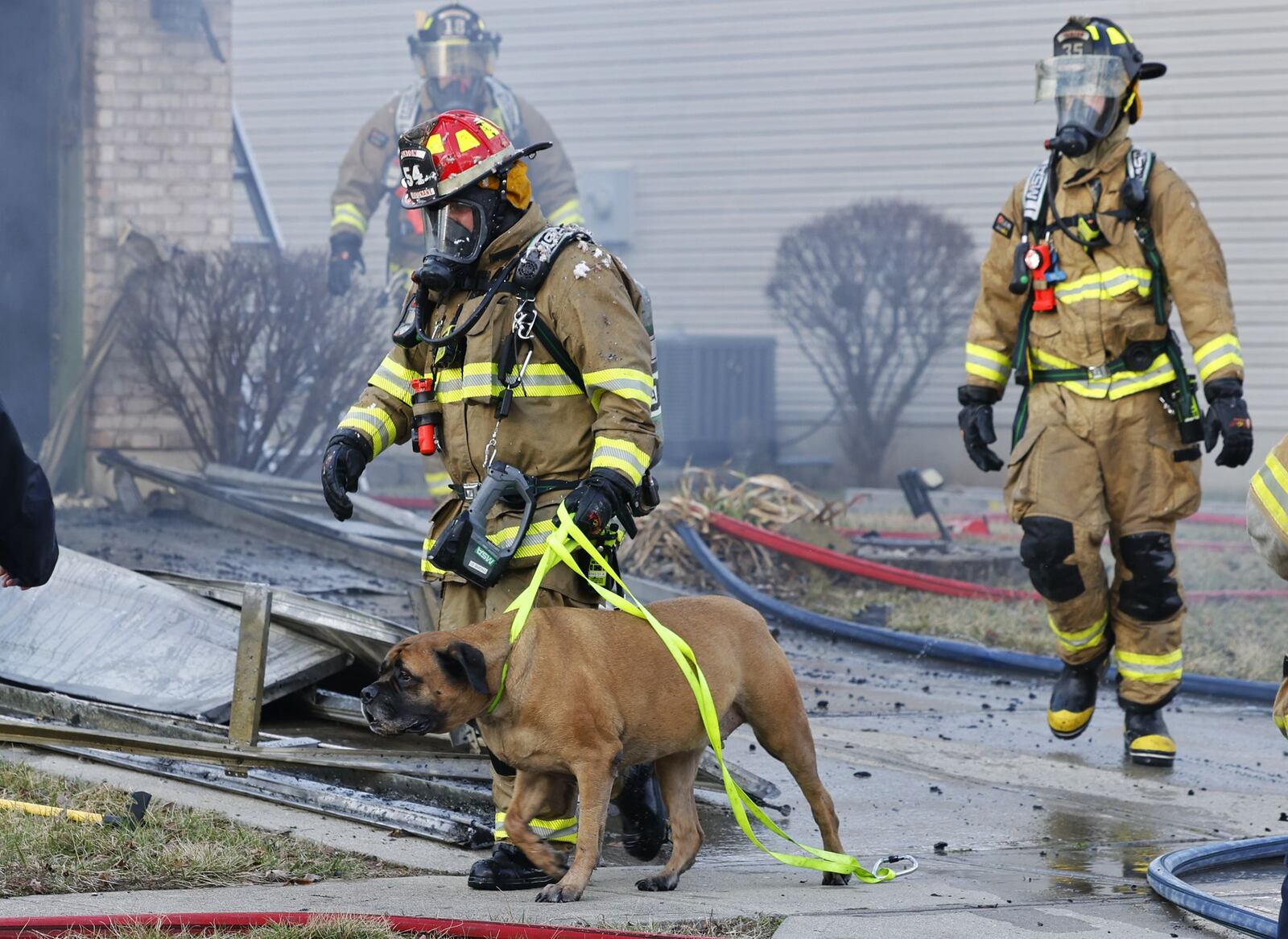 Trenton Fire Lt. Chris Wells brings Apollo out of a house that was on fire Feb. 23, 2024, on Marcia Drive in Trenton so he can be reunited with his owners. NICK GRAHAM/STAFF