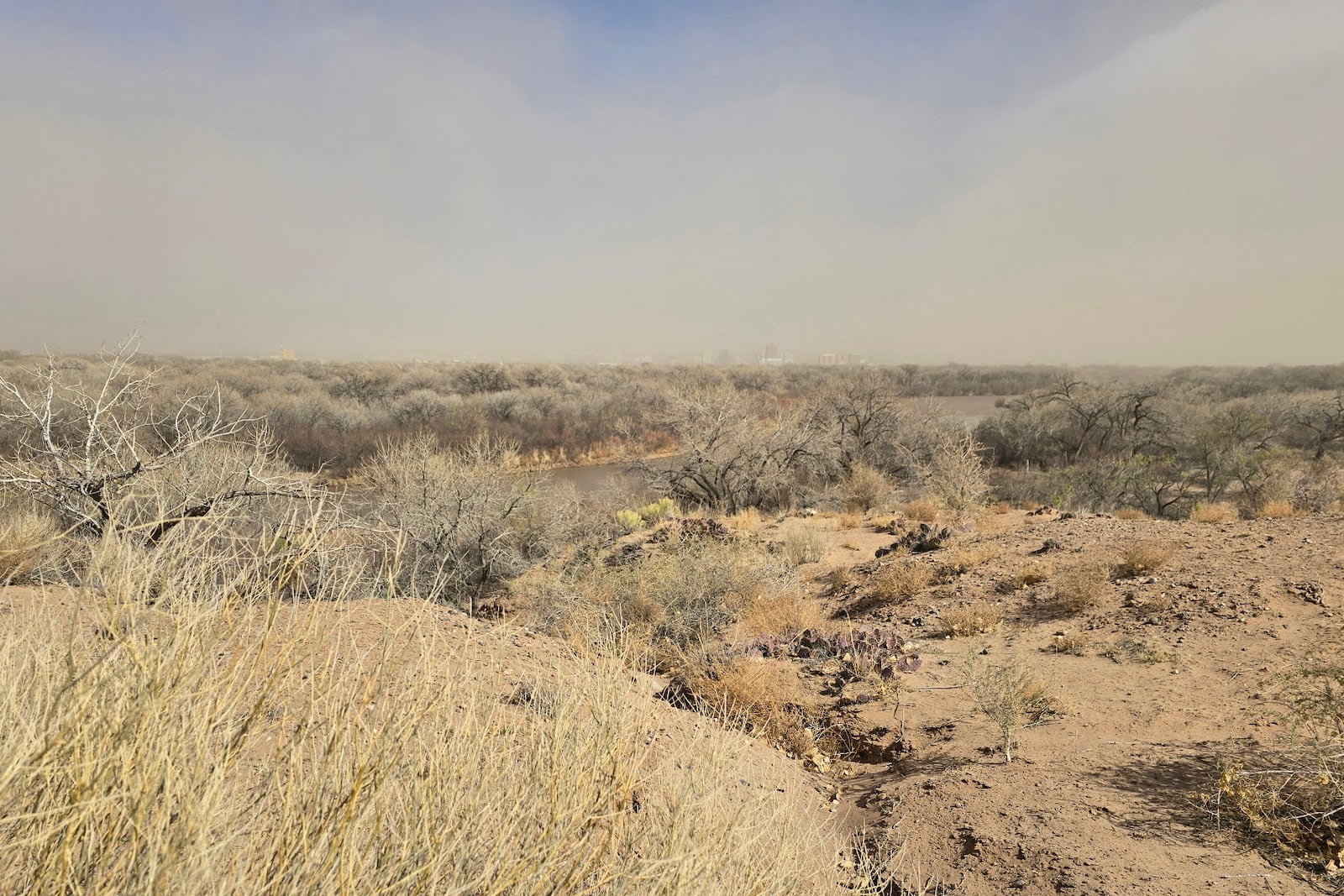 Dust fills the sky in Albuquerque, N.M., Tuesday, March 18, 2025. (AP Photo/Felicia Fonseca)