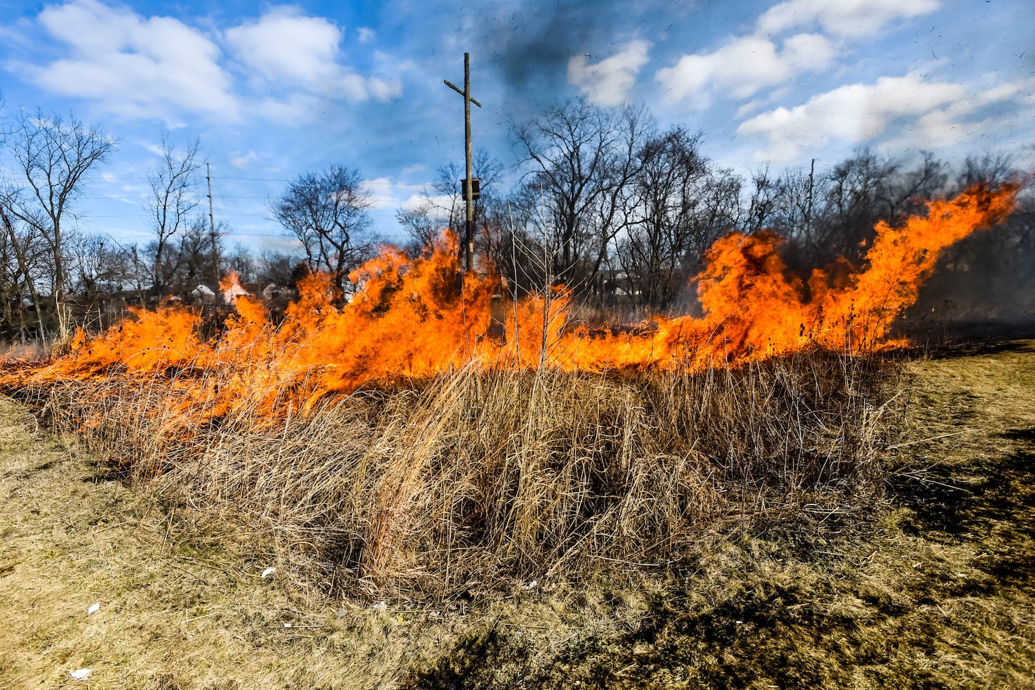 Controlled burns at Riverside Natural Area in Hamilton