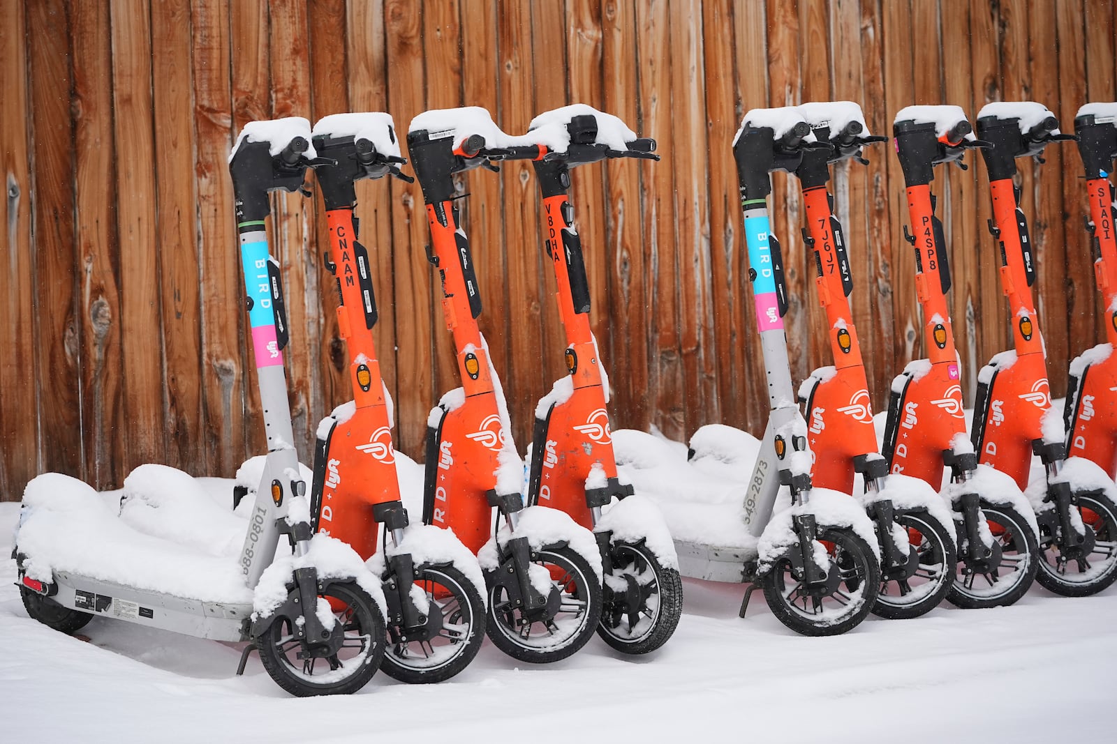 Electric scooters covered in snow sit idle along Galapago Street as a winter storm sweeps over the intermountain West, plunging temperatures into the single digits and bringing along a light snow in its wake Saturday, Jan. 18, 2025, in Denver. (AP Photo/David Zalubowski)