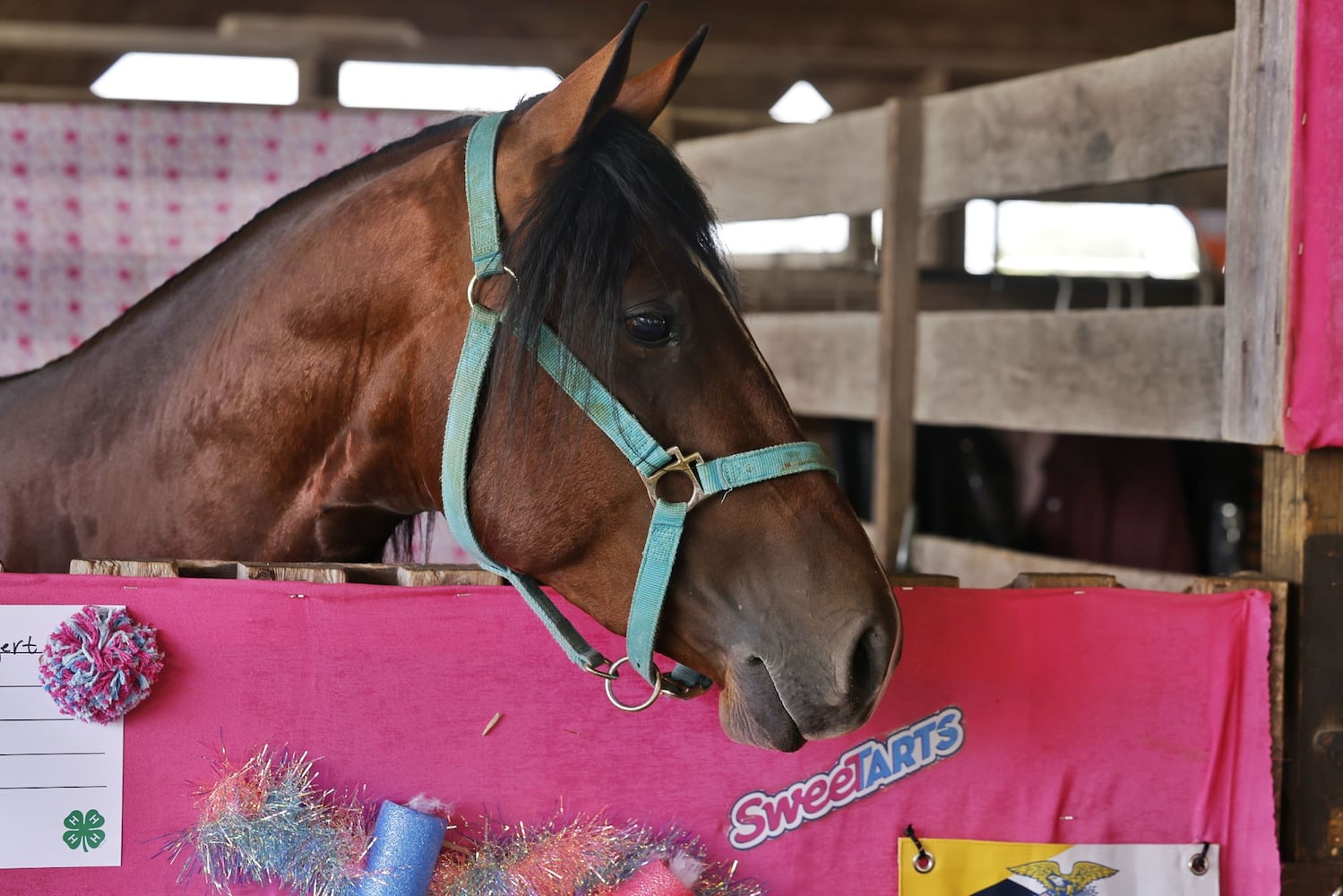 072424 Butler County Fair