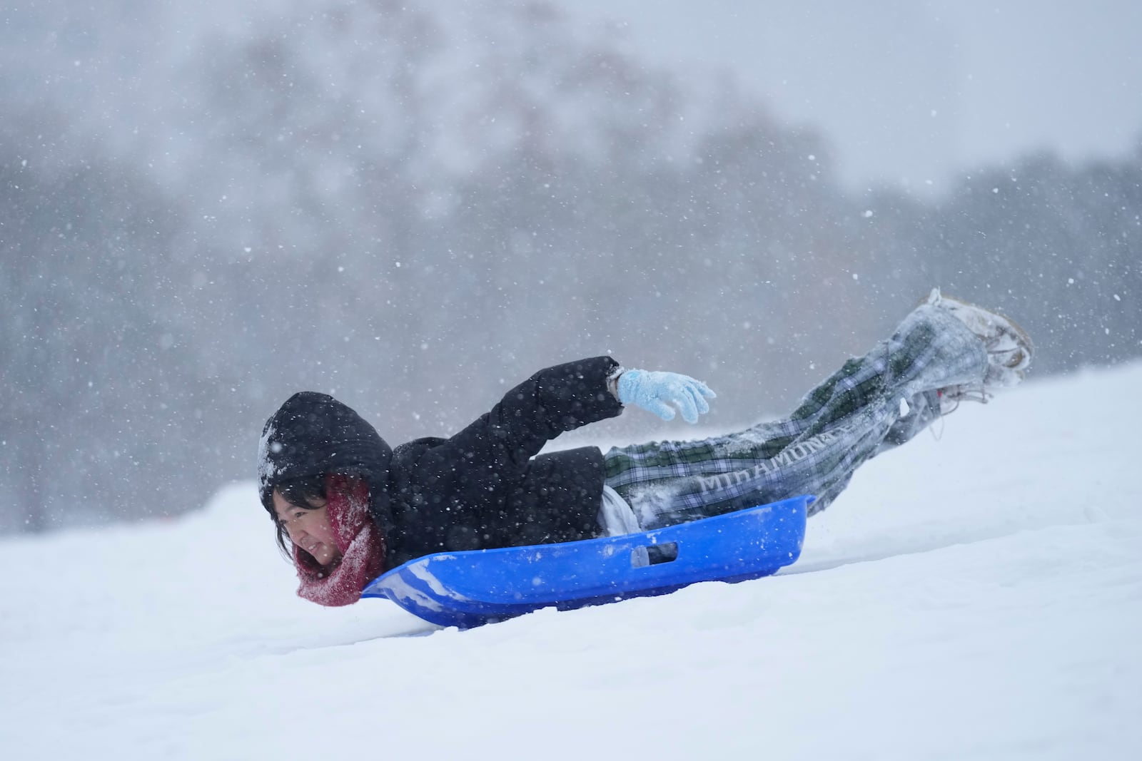 A person sleds down a hill at Herman Park Tuesday, Jan. 21, 2025, in Houston. (AP Photo/Ashley Landis)