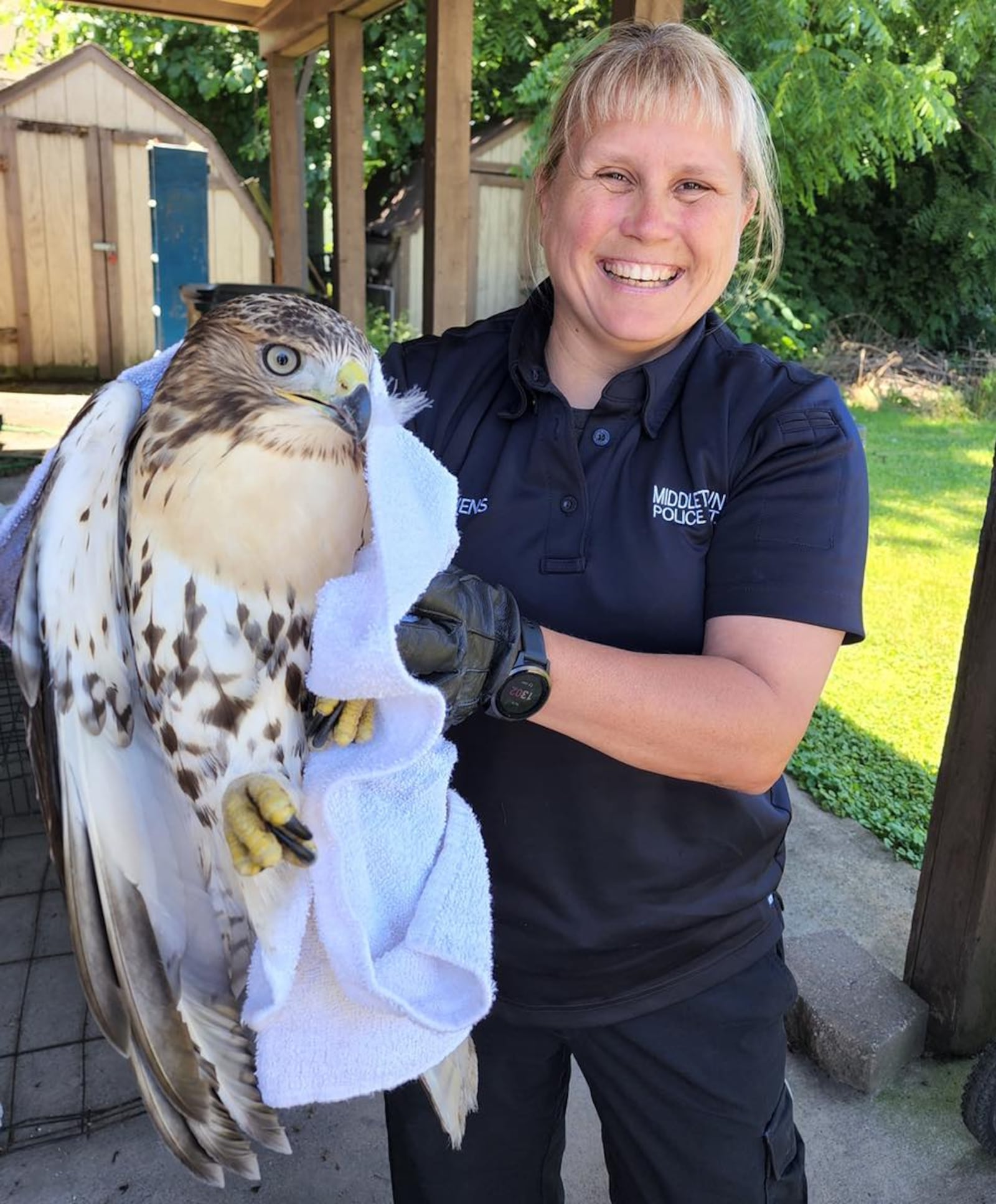 Middletown police officer Holly Owens retrieved an injured Cooper's hawk Thursday, June 23, 2022, that was found by residents near Carolina and Plymouth streets.