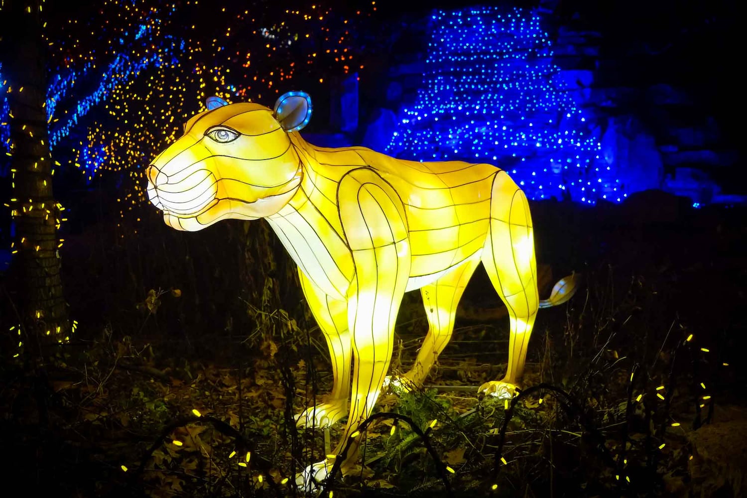 PHOTOS Cincinnati Zoo Festival of Lights 2019