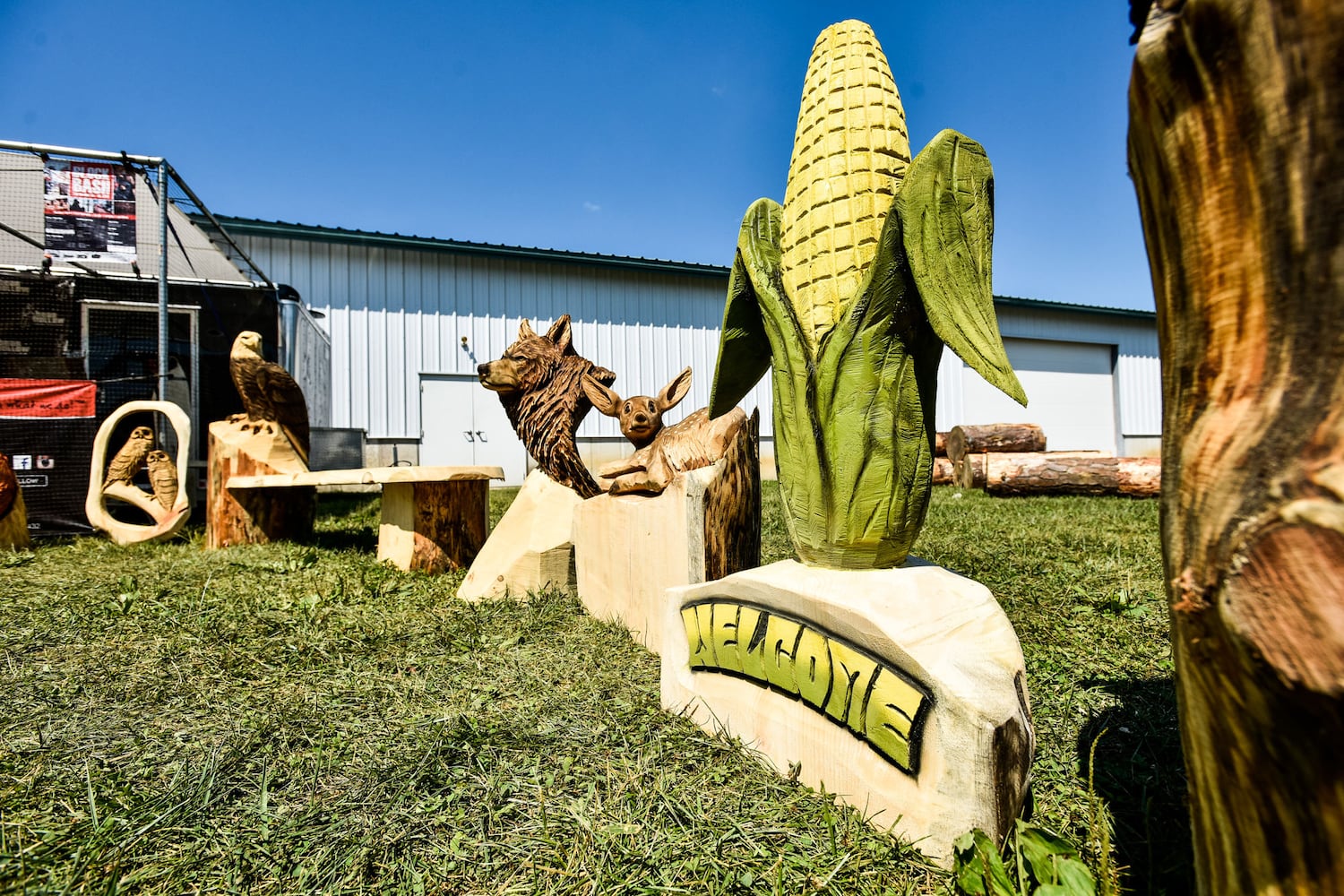 PHOTOS: Butler County Fair 2018