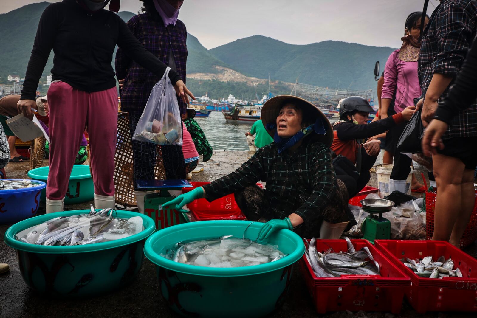 A woman sells fish in a market in Nha Trang harbor, Vietnam, Oct. 26, 2024. (AP Photo/Yannick Peterhans)