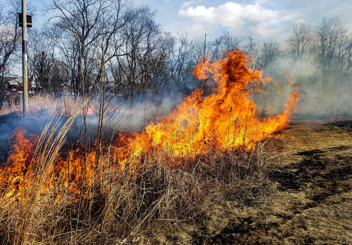 Controlled burns at Riverside Natural Area in Hamilton