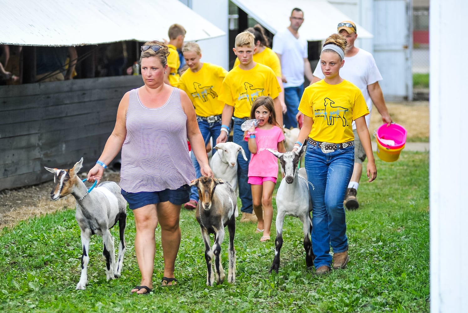 Scenes from the Butler County Fair 2019