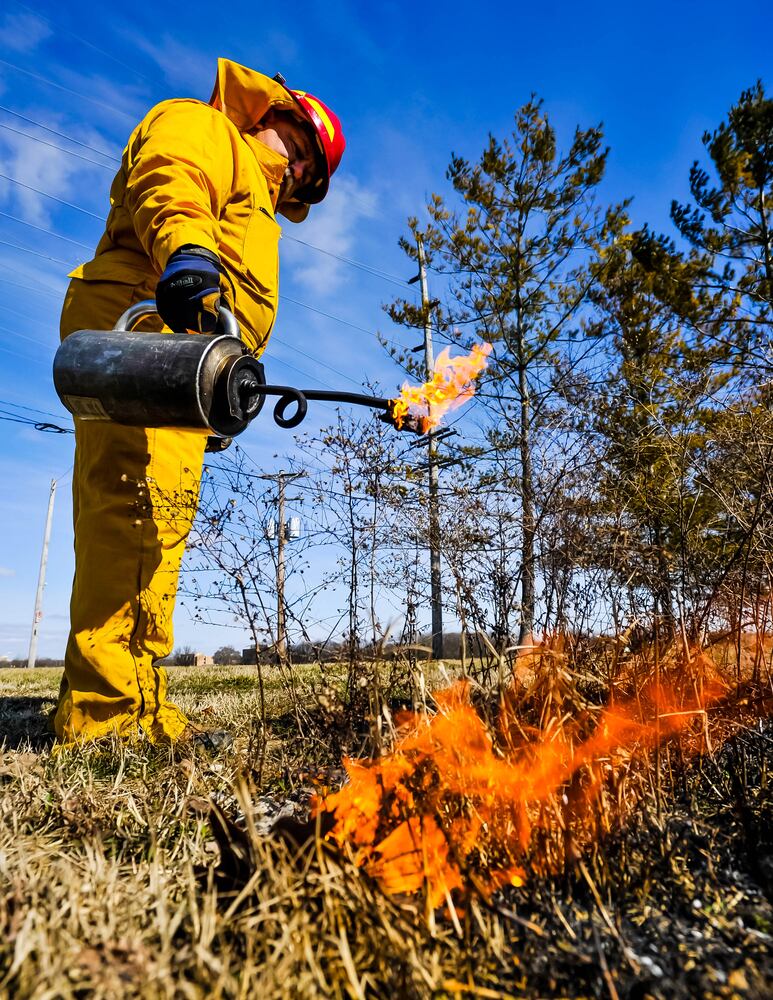 Controlled burns at Riverside Natural Area in Hamilton