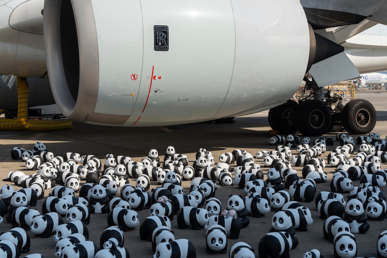 Part of the 2500 panda sculptures are displayed at the Hong Kong International Airport during the welcome ceremony of the panda-themed exhibition "Panda Go!" in Hong Kong, Monday, Dec. 2, 2024. (AP Photo/Chan Long Hei)