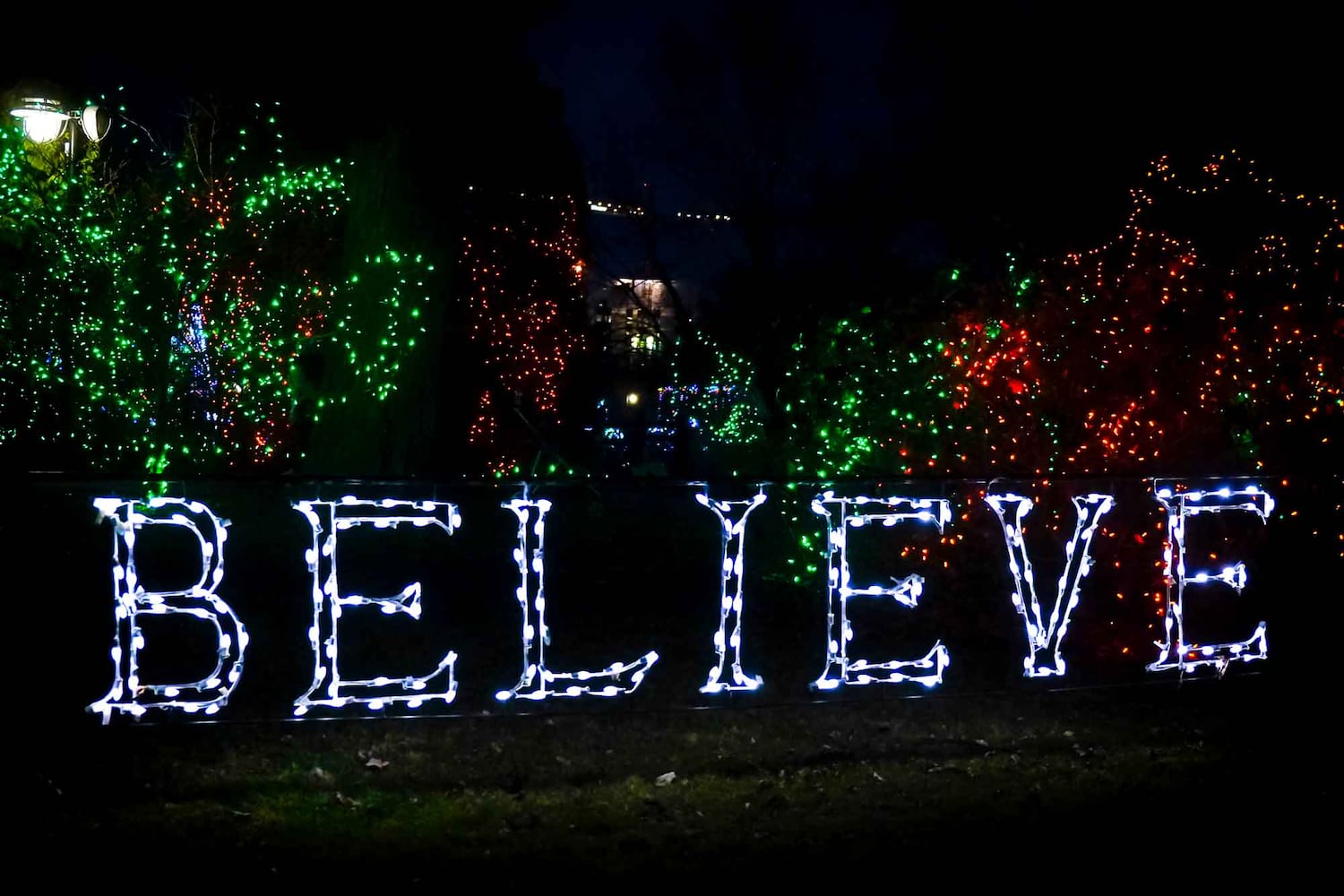 PHOTOS Cincinnati Zoo Festival of Lights 2019