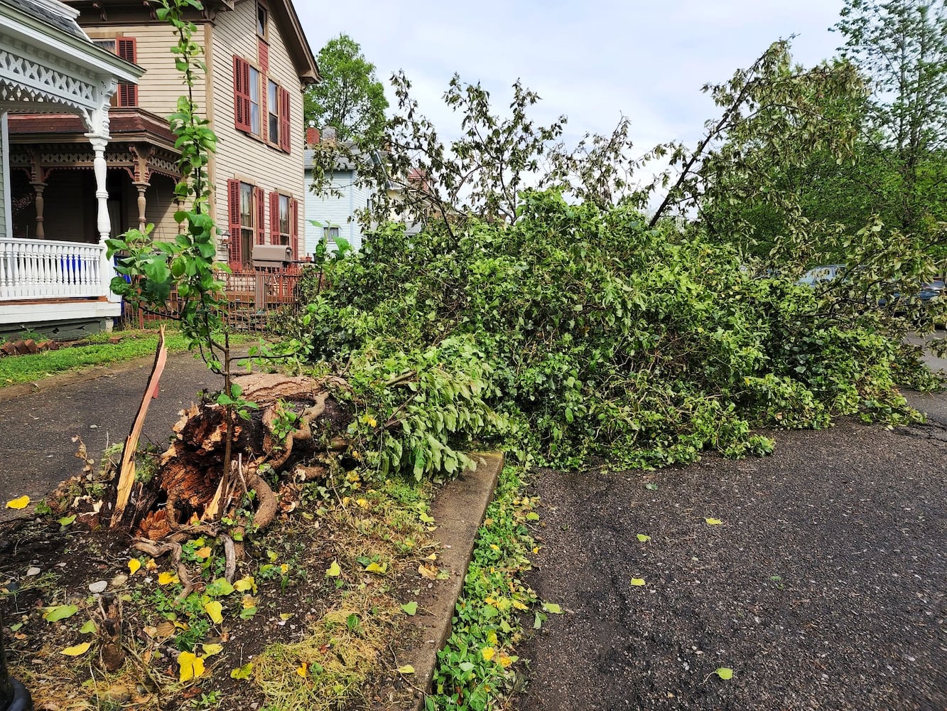 Hamilton storm photos