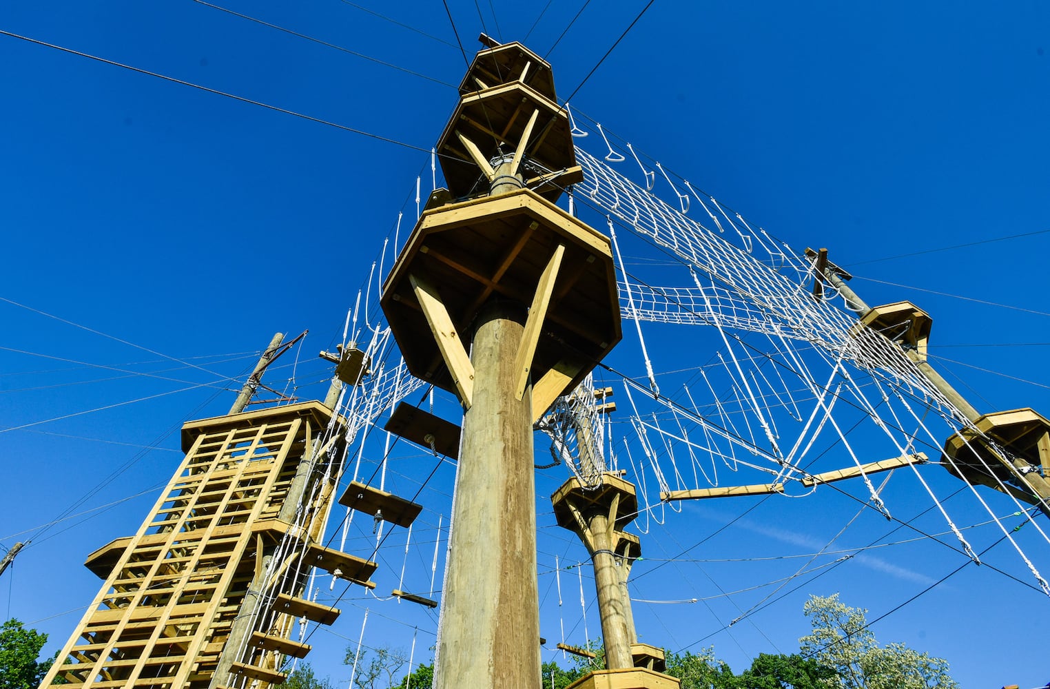 High ropes course now open at YMCA's Camp Campbell Gard in Butler County