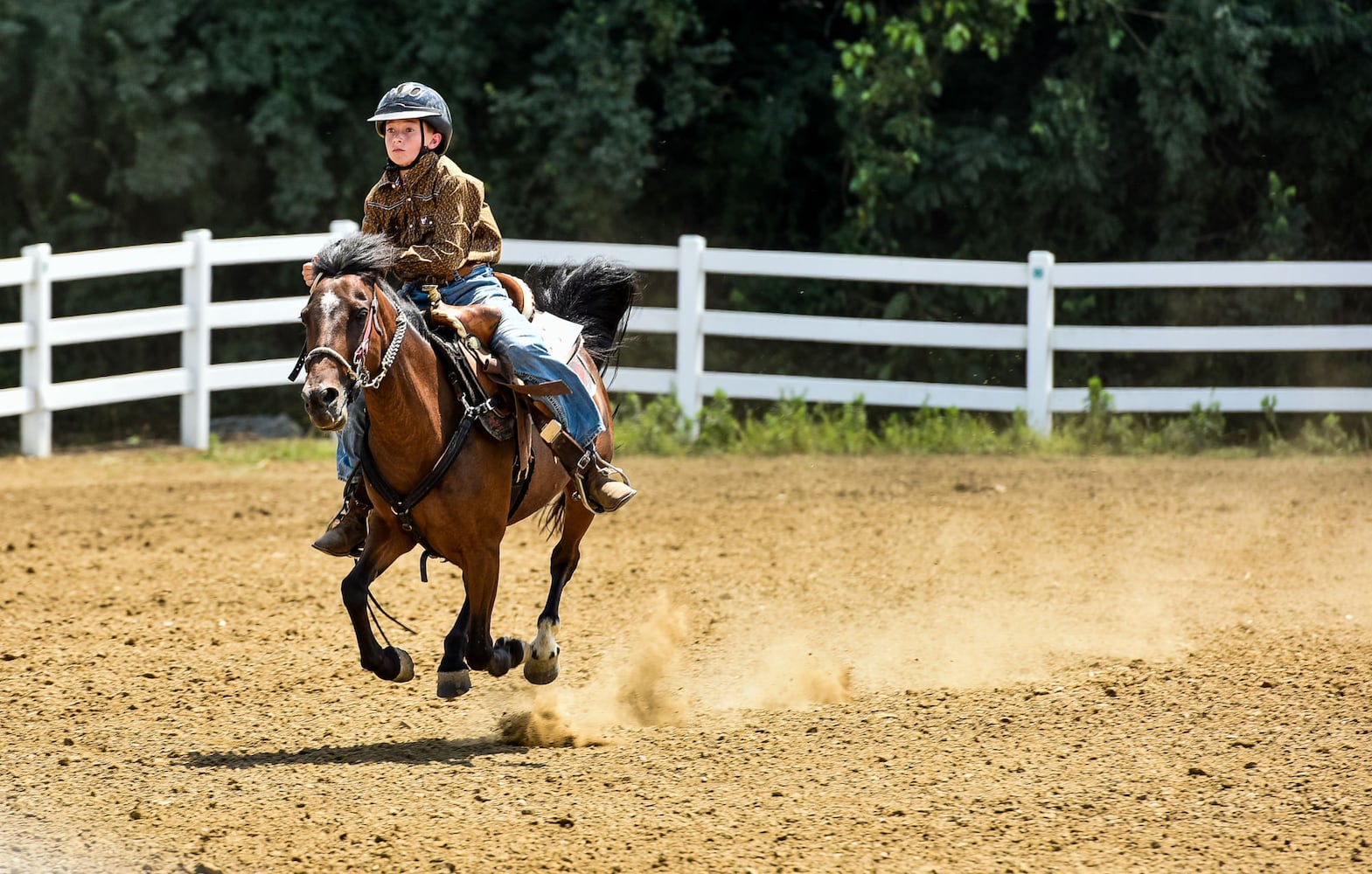 Butler County Fair 2018