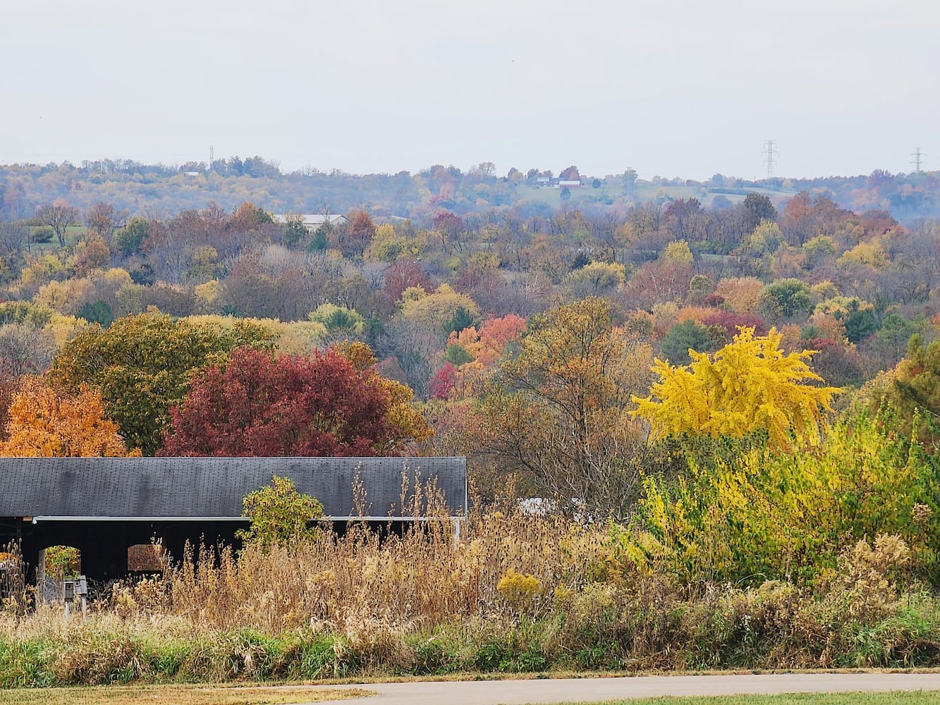 102622 fall colors Butler County