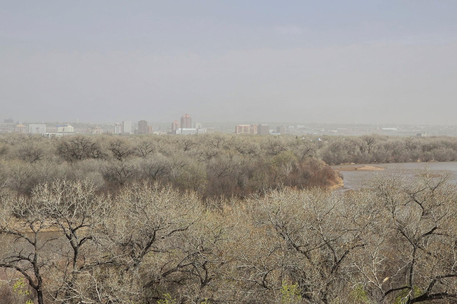 Dust fills the sky in Albuquerque, N.M., Tuesday, March 18, 2025. (AP Photo/Felicia Fonseca)