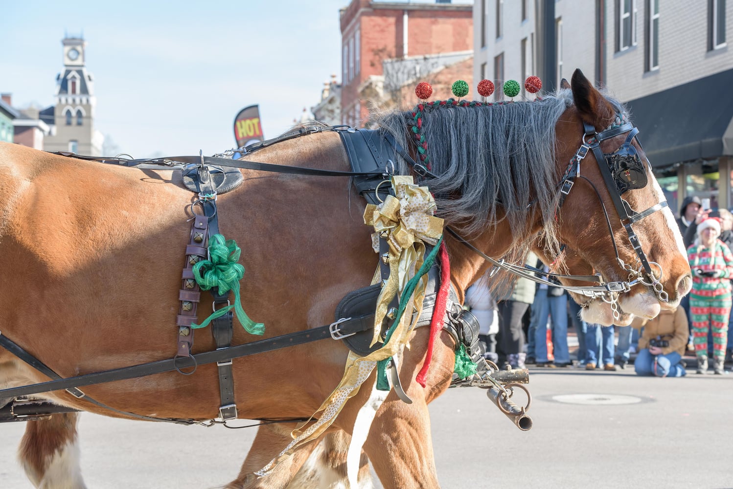 PHOTOS: 35th annual Lebanon Horse-Drawn Carriage Parade & Festival