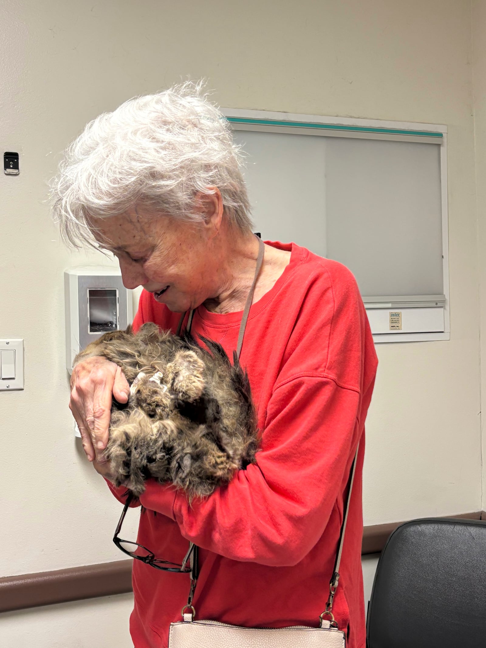 In this image provided by Carolyn Kiefer her mother, Katherine Kiefer, 82, is reunited with her cat Aggie at VCA Chatoak Animal Hospital after the Palisades Fire destroyed her home and the cat was missing, Saturday, March 8, 2025, in Los Angeles. (Carolyn Kiefer via AP)