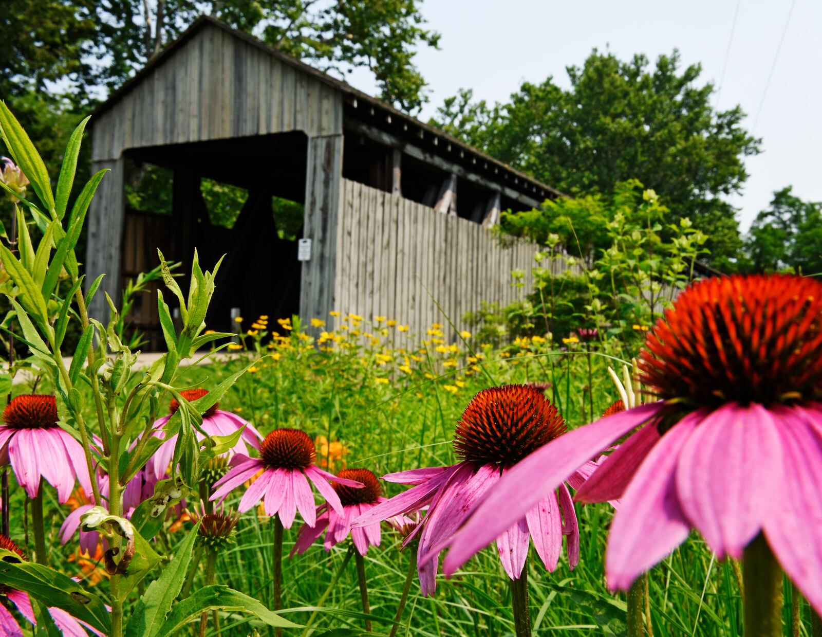 The first part of the Oxford Recreational Trail will link the Black Covered Bridge (pictured) to the DeWitt Log House on Miami University property near Ohio 73. NICK GRAHAM/STAFF FILE 2015