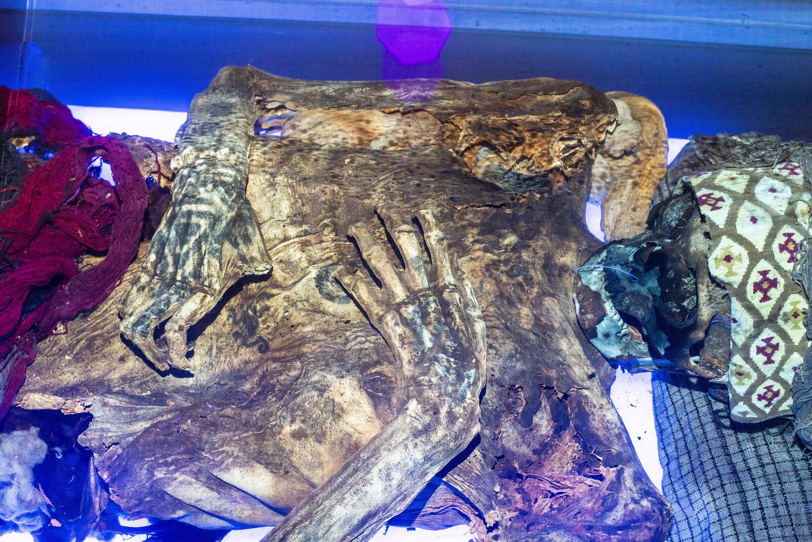 This August 2024 photo provided by researchers shows a mummified human from Peru's Chancay culture using laser-stimulated fluorescence. (Tom Kaye via AP)