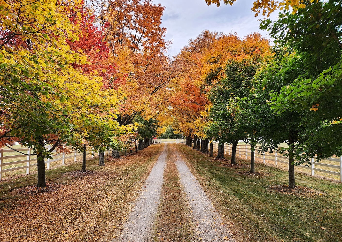 102622 fall colors Butler County