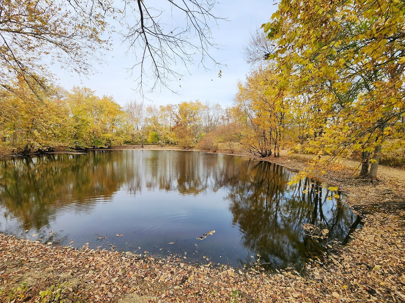 102622 fall colors Butler County